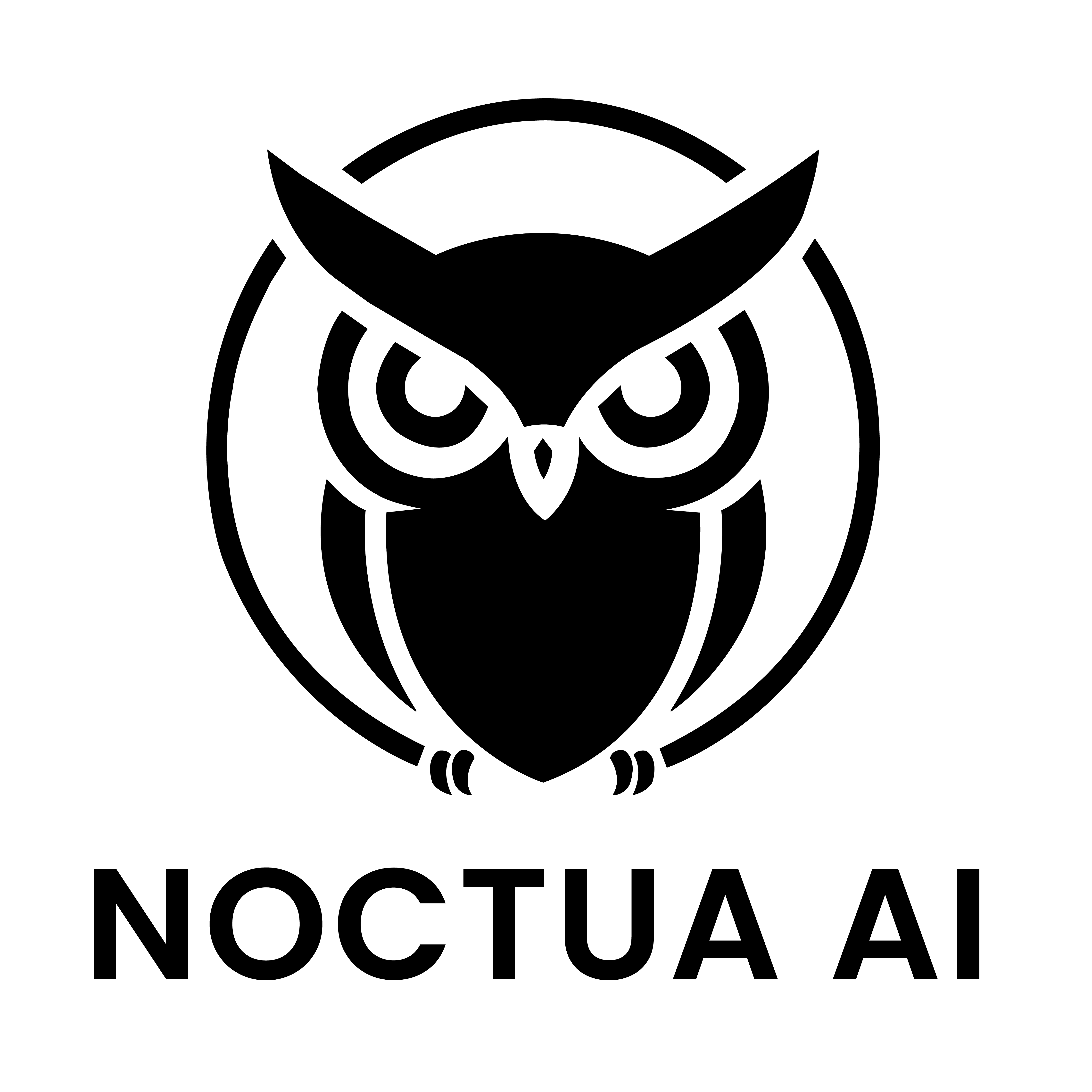 Noctua AI